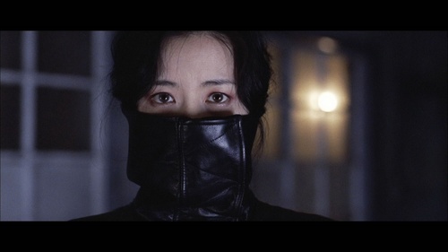 Sympathy for Lady Vengeance